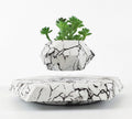 Magnetic Levitating Plant Pot – Marble Floating Planter with LED