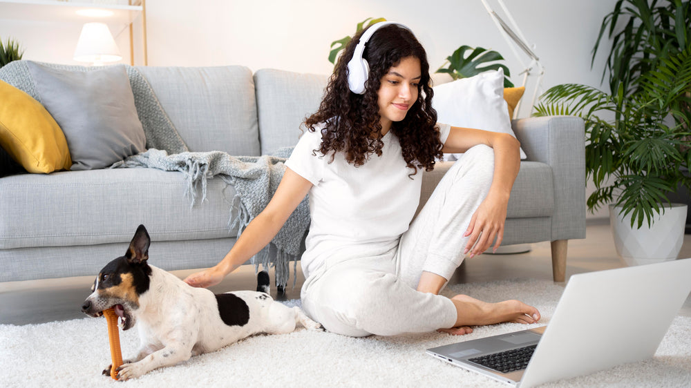 Smart Essentials Your Furry Friend Will Love