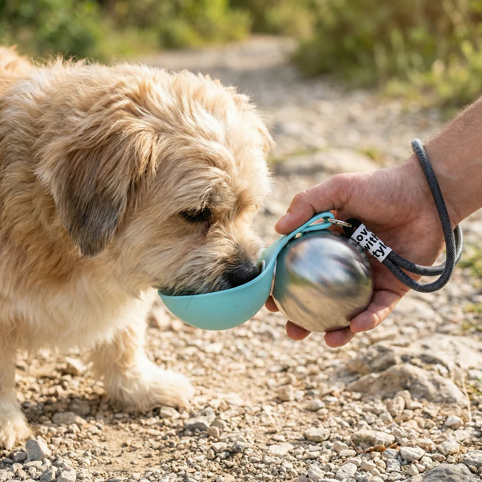 Portable Pet Water Bottle - Dog Drink Dispenser for Travel